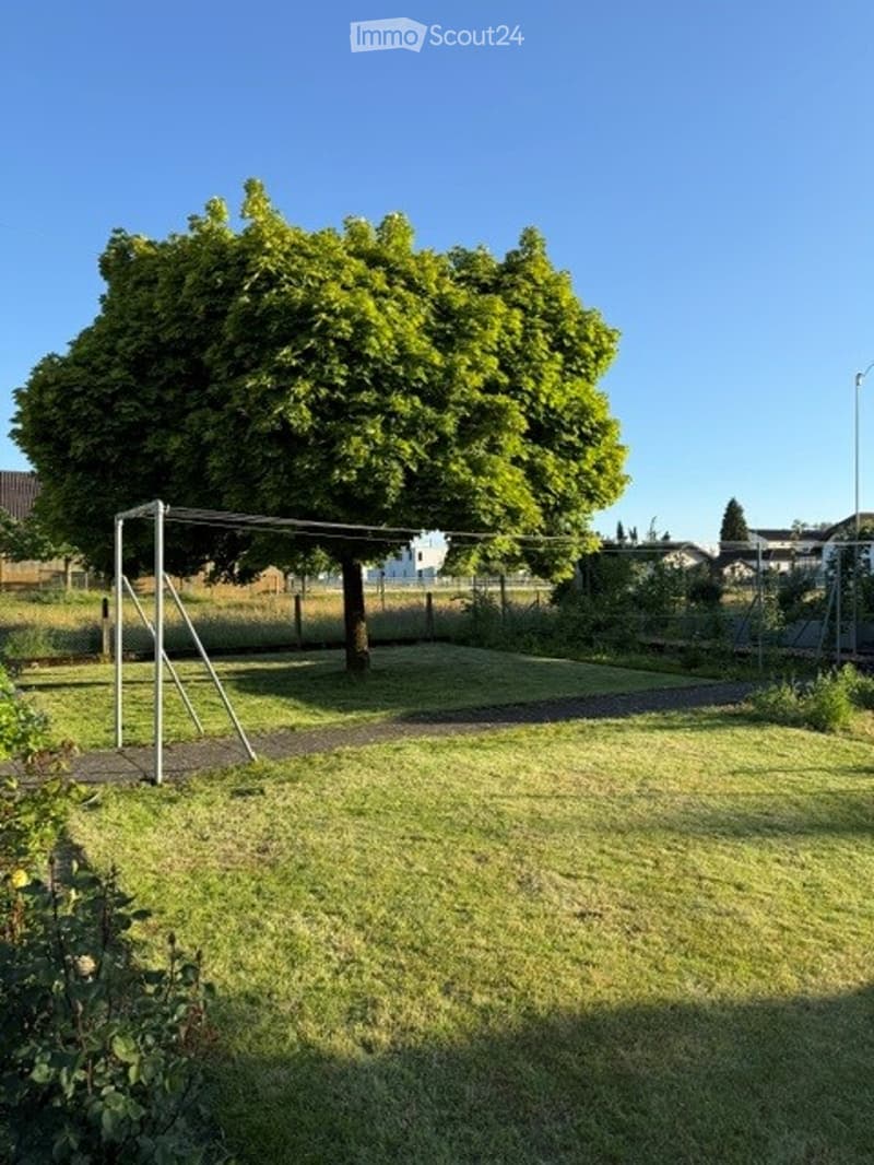 A well-maintained garden with a large tree, a small soccer goal, and a fence surrounding the area.