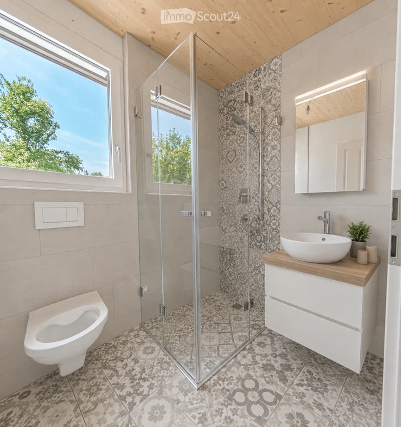 Modern bathroom with a glass-enclosed shower, a white toilet, a wooden vanity with a sink, and a large mirror. The floor features patterned tiles, and the walls are tiled with a decorative design. A small potted plant sits on the vanity.