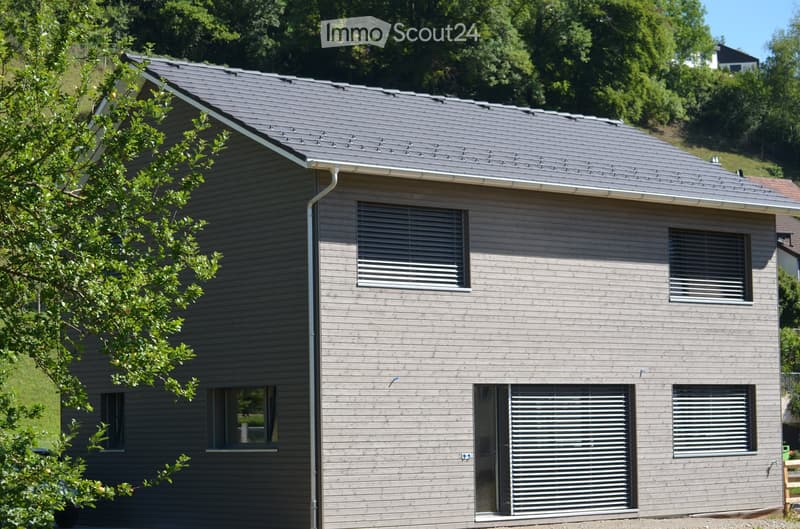 Modern house with gray exterior, large garage entrance, multiple windows, metal gutter, situated on a hillside with greenery.