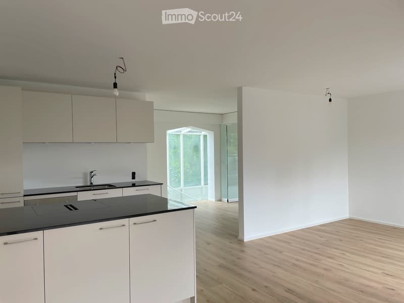Modern kitchen with white cabinets, black countertop, and a sink with a modern faucet. The space features wooden flooring and a large open area with a glass partition leading to another room.