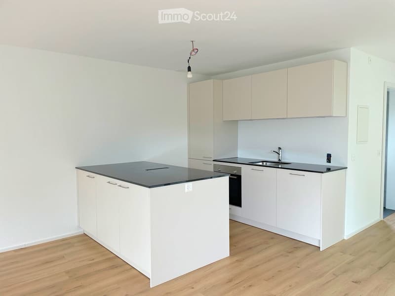 Modern kitchen with white cabinets, black countertop, and wooden flooring.