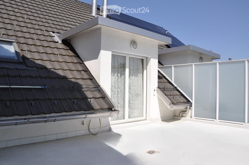 Roof terrace with modern glass railing, tiled roof, and access door to the building.