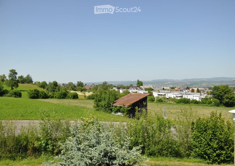 A rural landscape with green fields, scattered trees, a small wooden shed, and distant houses under a clear blue sky.