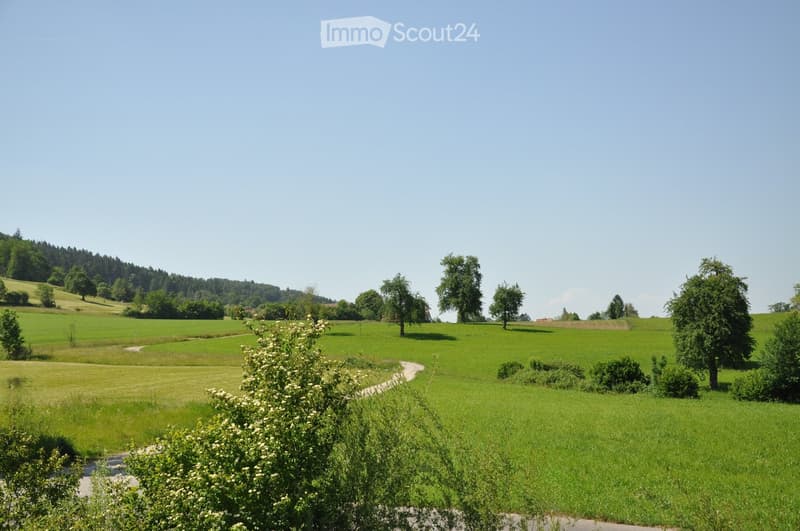 A peaceful rural landscape with green fields, scattered trees, and a winding path leading into the distance.