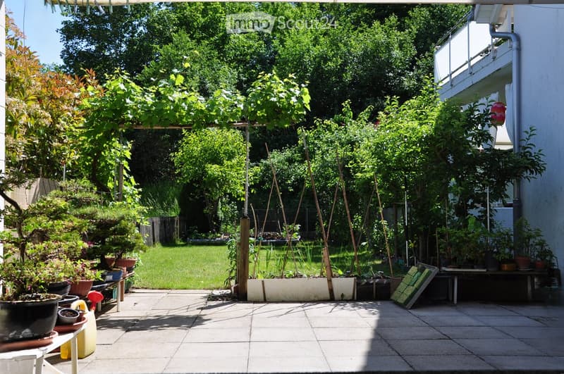 A sunny garden patio with potted plants, a wooden bench, and a lush green lawn surrounded by trees and shrubs.