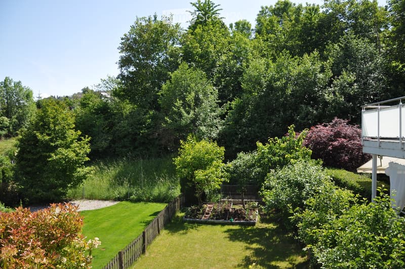 Well-maintained garden with a neatly trimmed lawn, wooden fence, various trees and shrubs, and a small raised garden bed with plants.