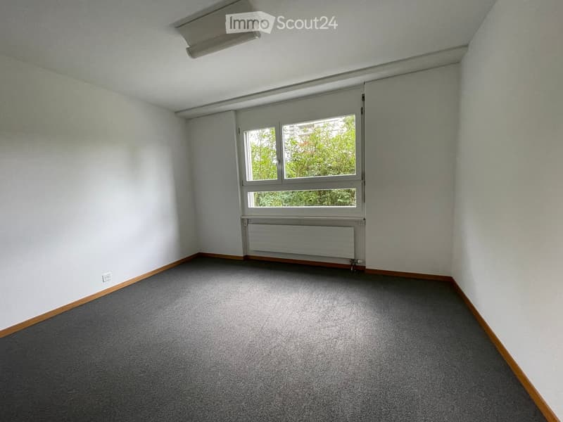 Empty room with white walls, grey carpet, wooden baseboards, and a large window with a radiator below it.