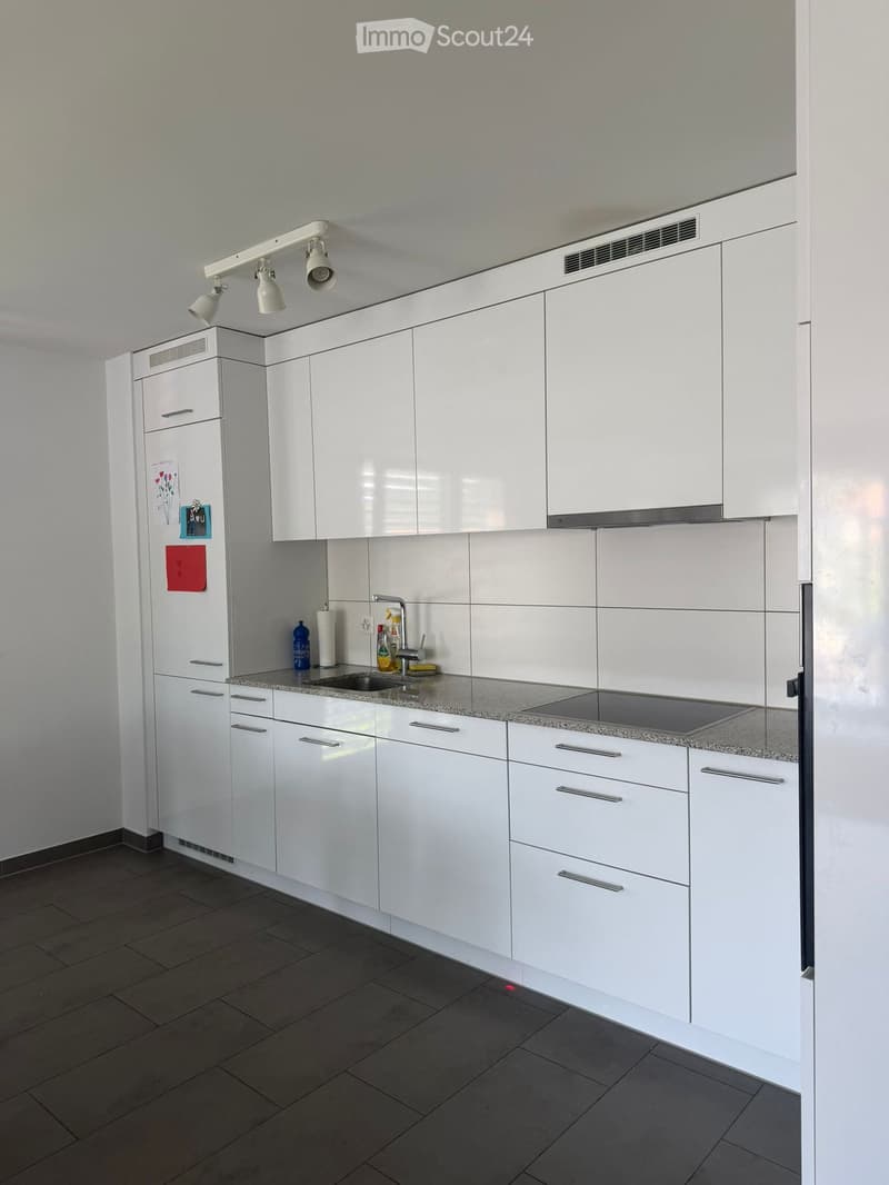 Modern kitchen with white cabinets, granite countertop, stainless steel sink, and various cleaning supplies on the counter.