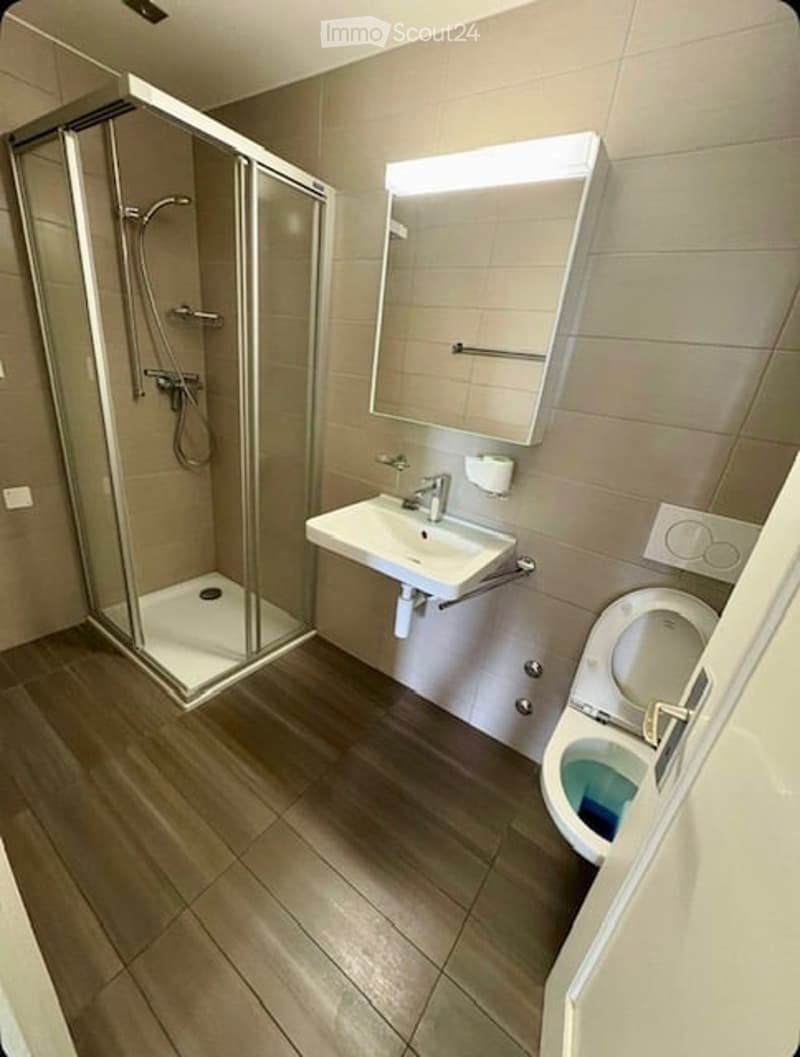 Bathroom with a shower, sink, and toilet. The shower is enclosed with glass doors, and the sink is white with a faucet. A mirror is mounted on the wall above the sink. The toilet is white, and there is a towel rack and toilet paper holder on the wall. The