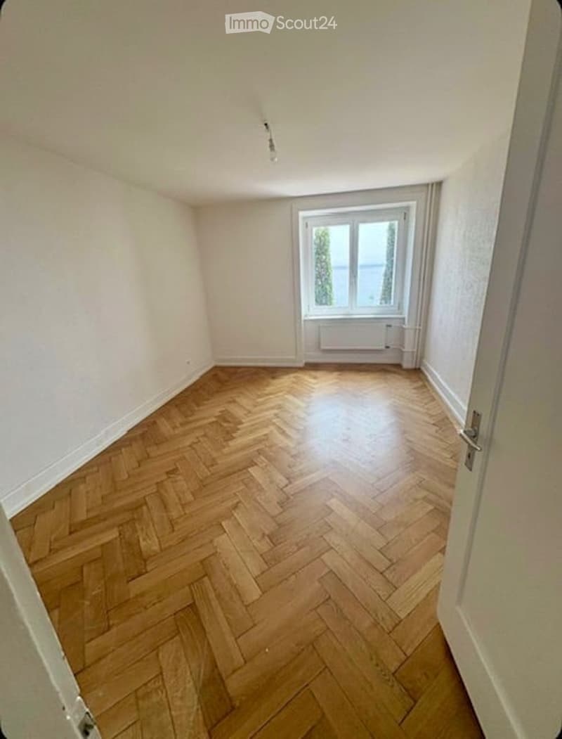 Empty room with wooden parquet flooring, white walls, and a window with a view of trees and a body of water.