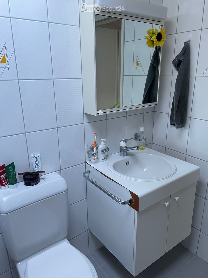 Appartamento mansardato originale (8)