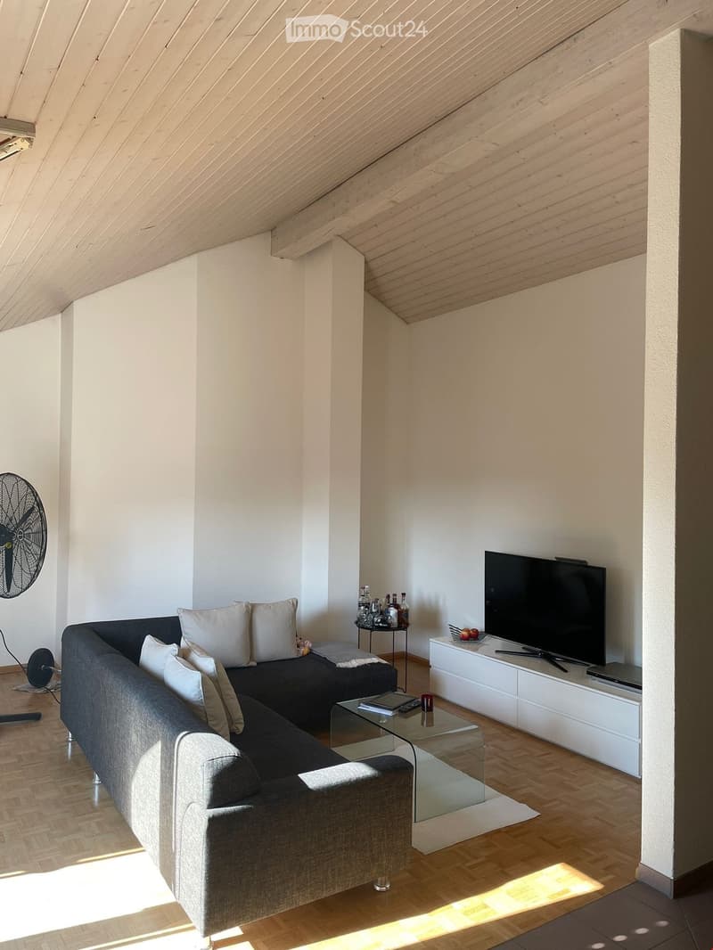 Appartamento mansardato originale (4)