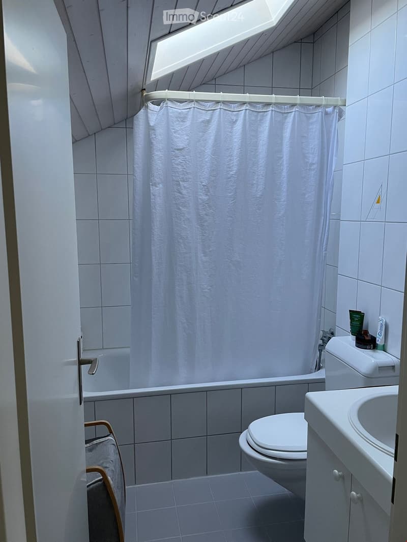 Appartamento mansardato originale (9)