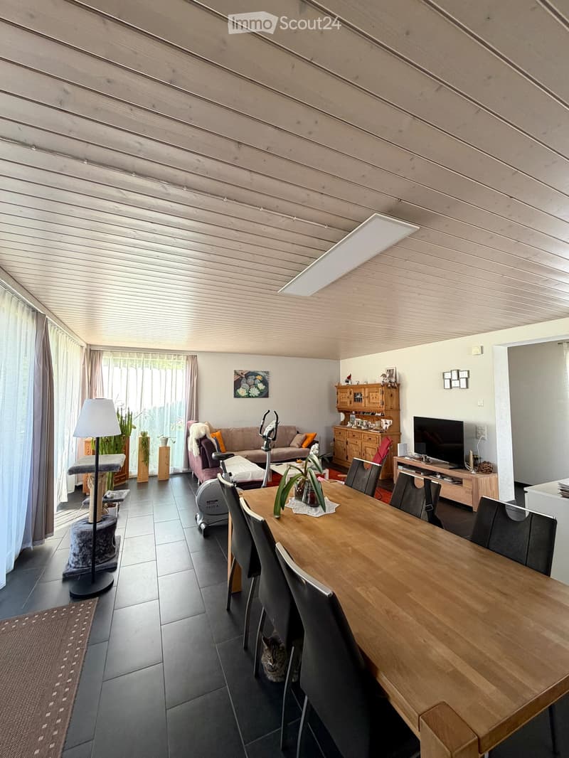 Open-plan living and dining area with a wooden dining table, chairs, sofa, TV, cabinet, and a cat present.