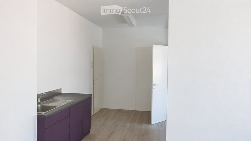 Empty kitchen with white walls, wooden flooring, and dark purple cabinets. There is a sink and faucet on the left side, and two doors are visible in the background.
