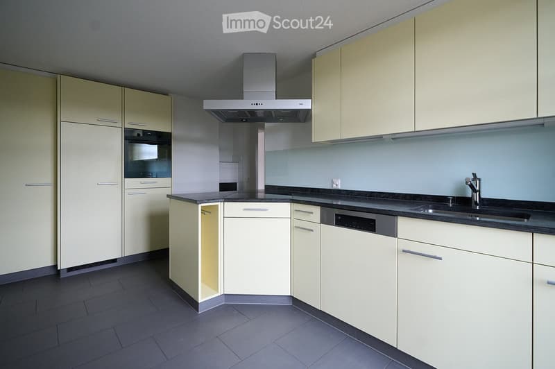 Modern kitchen with light-colored cabinets, a stainless steel sink, a dishwasher, and a range hood.