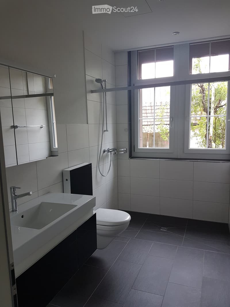 Modern bathroom with a white sink, chrome faucet, toilet, shower, and large windows letting in natural light.