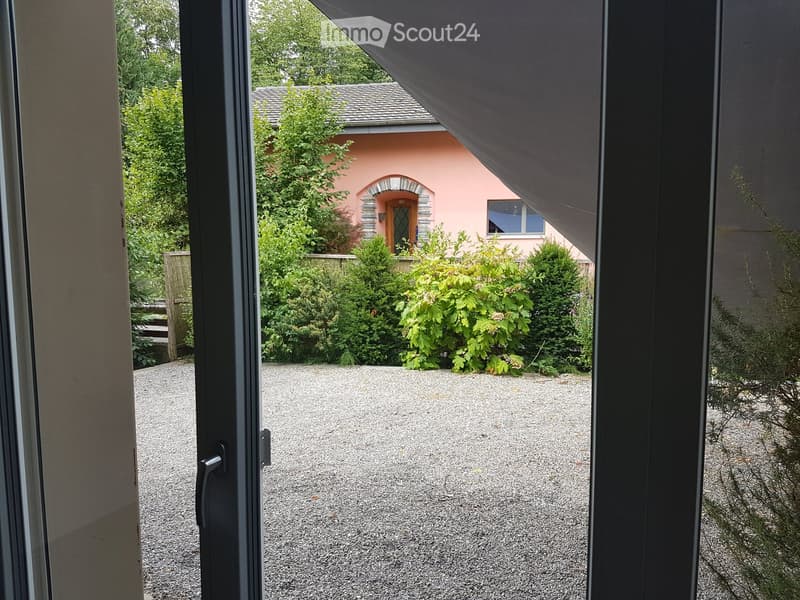 View from a window showing a gravel driveway leading to a pink house with a small garden and trees.