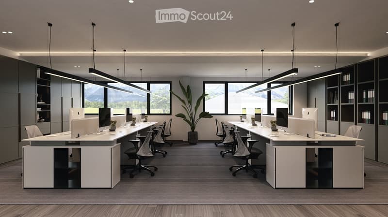 modern office with white desks, black chairs, monitors, shelves, and a large plant
