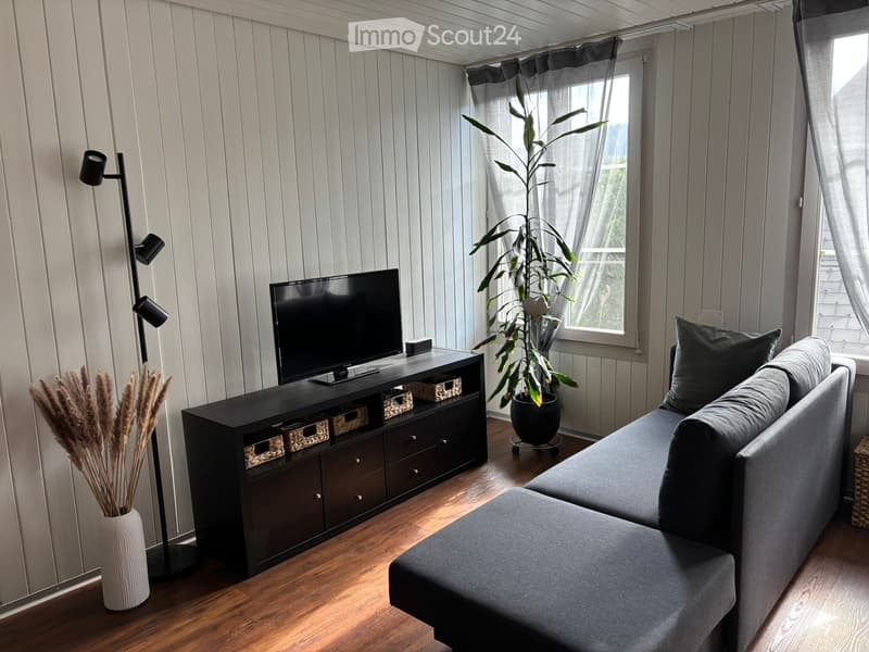 Living room with a black couch, TV, and entertainment center. A potted plant and baskets are on the entertainment center. A floor lamp and a vase with dried flowers are on the left.