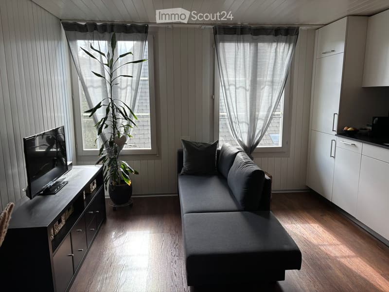 A living room with a couch, TV, plant, entertainment center, and white cupboards.