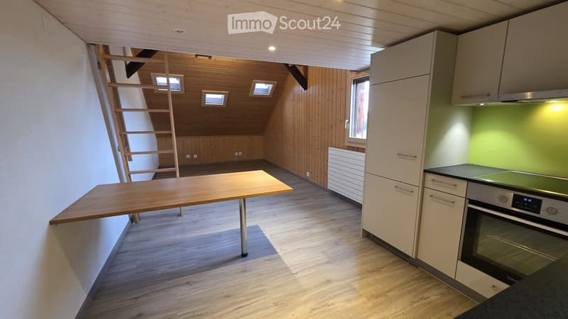 Studio à Fahrni près de Thun (4)