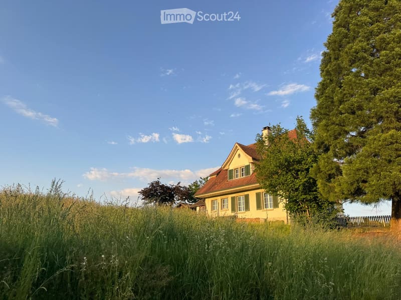 A two-story yellow house with green shutters and a red-tiled roof, surrounded by tall grass and trees.
