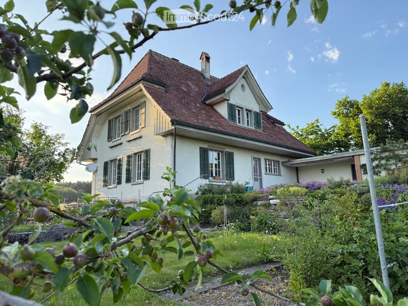 Charmant petit maison avec grand environnement (1)