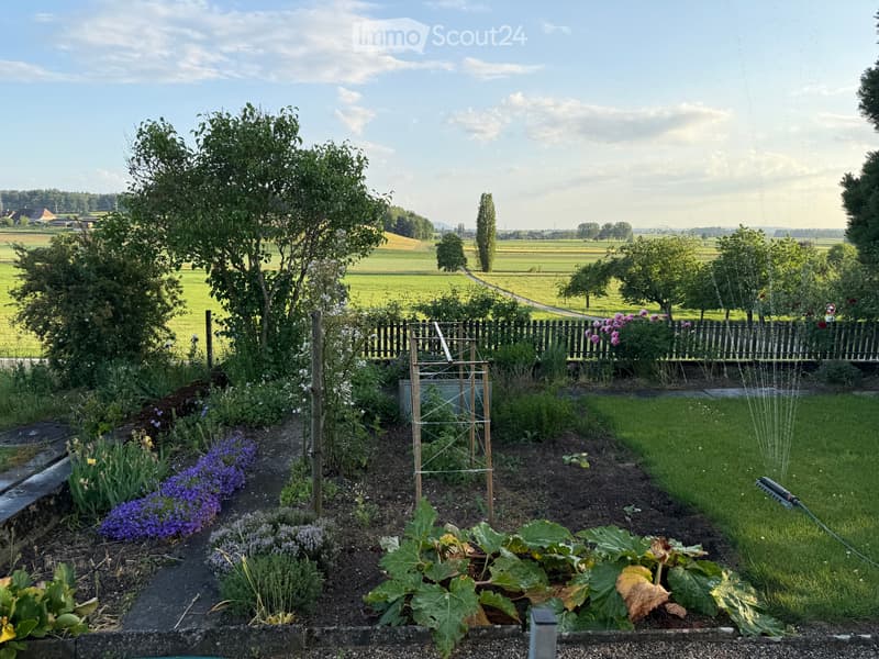 Charmant petit maison avec grand environnement (18)