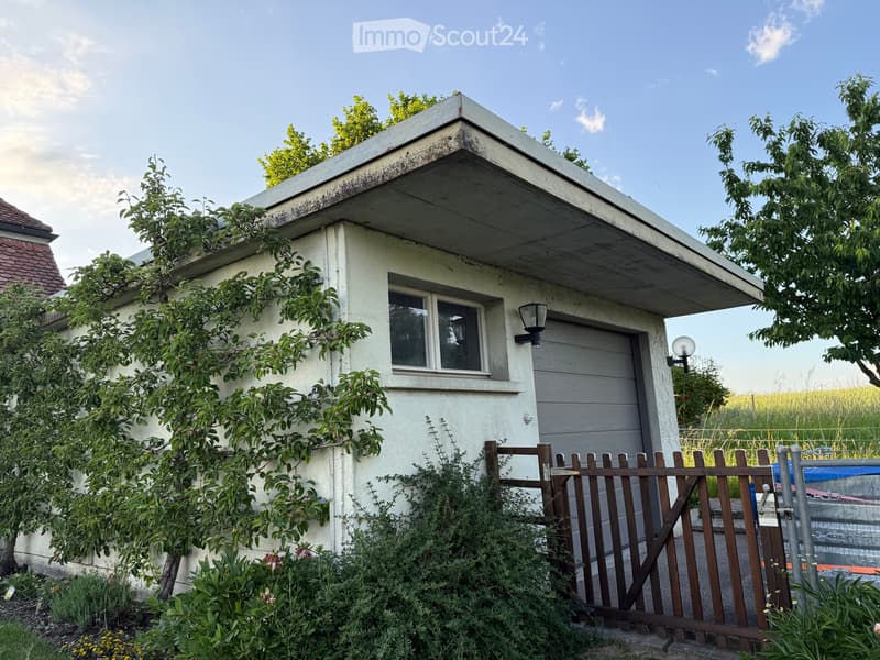 Charmant petit maison avec grand environnement (4)