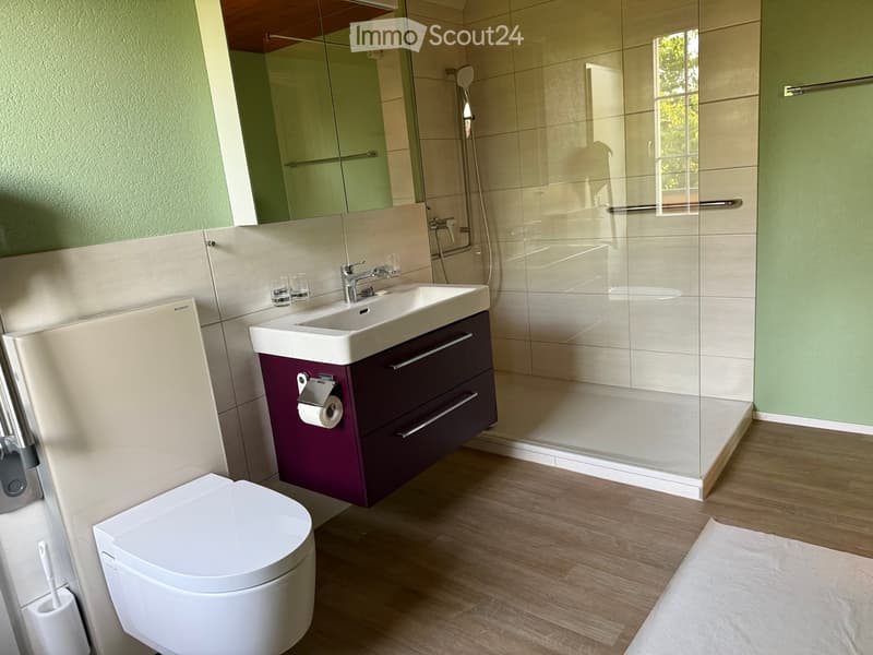Charmant petit maison avec grand environnement (10)