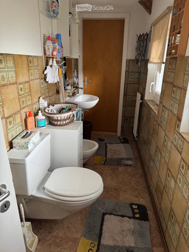 Bathroom with a toilet, sink, mirror, and shower area. Includes a basket on the sink counter, towels, and a rug on the floor.