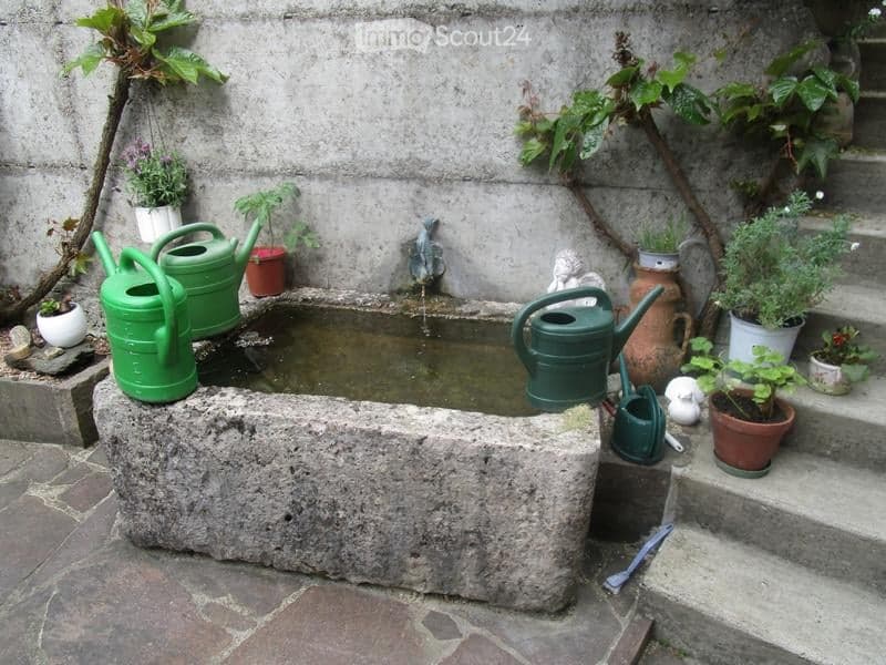 A rustic garden area with a stone basin filled with water, surrounded by potted plants, green watering cans, and climbing vines on a concrete wall.