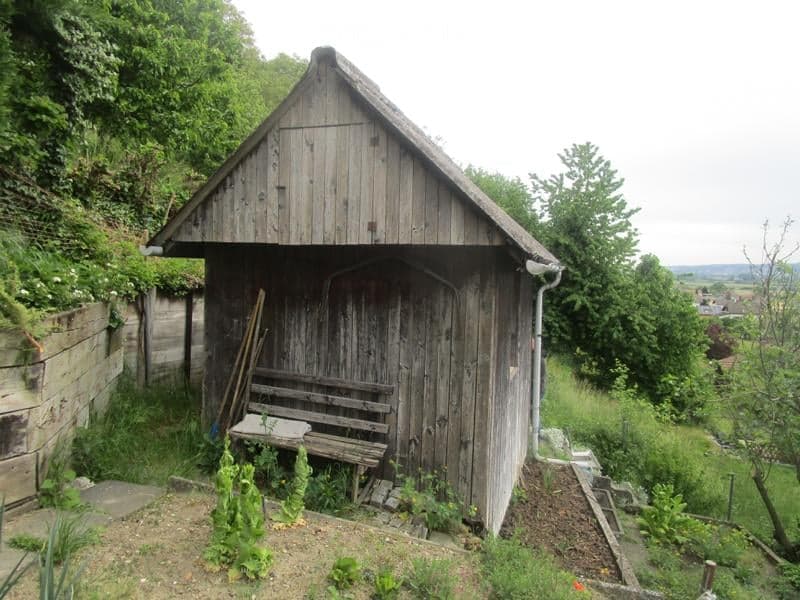 A rustic wooden shed with a pitched roof, situated in a garden area with overgrown vegetation and a wooden bench in front.