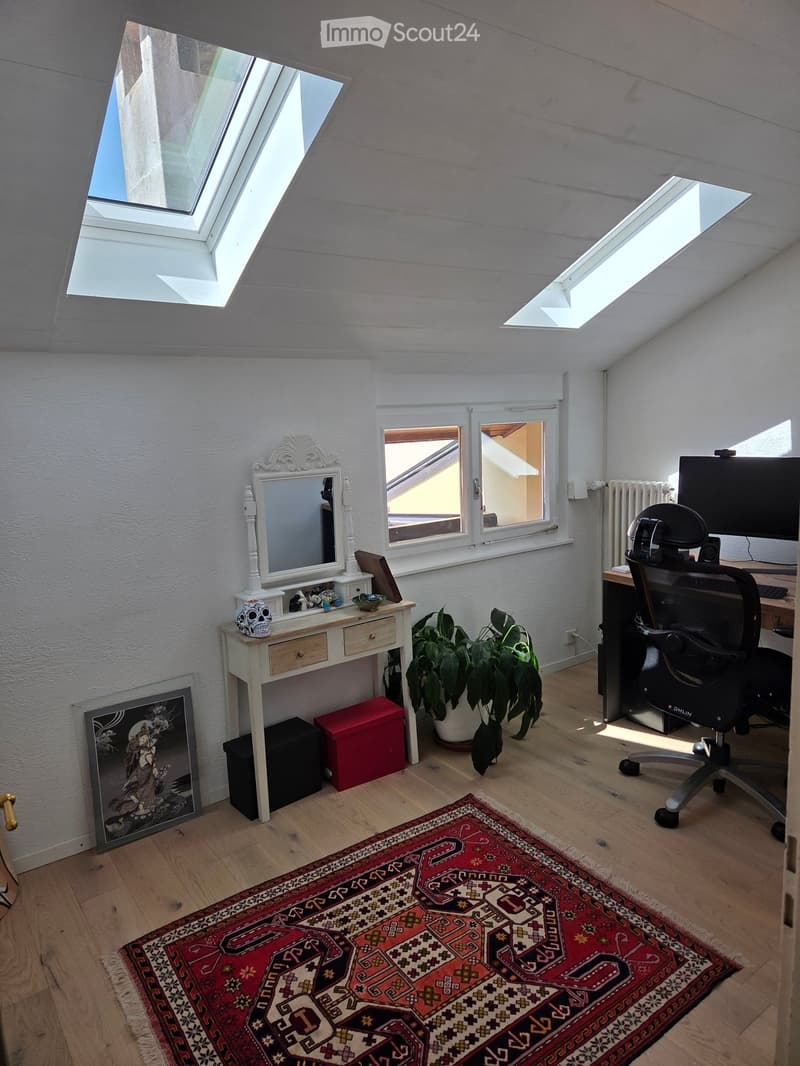 Bright room with wooden flooring, large windows, skylights, a desk with a chair, a vanity with a mirror, a potted plant, and a colorful rug.