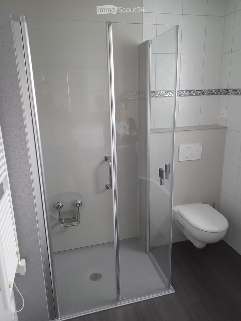 Modern bathroom with a glass-enclosed shower stall, a toilet, and a shower handle. The shower stall has a sleek, contemporary design with a silver frame and a built-in seat.