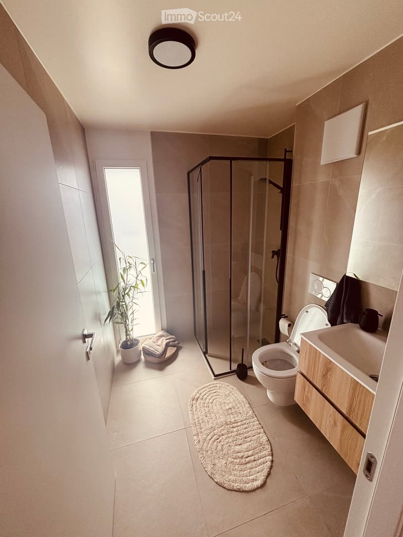Modern bathroom with a toilet, sink, shower, and wooden cabinet. Features a round white bathmat, a potted plant, and a towel on the floor.
