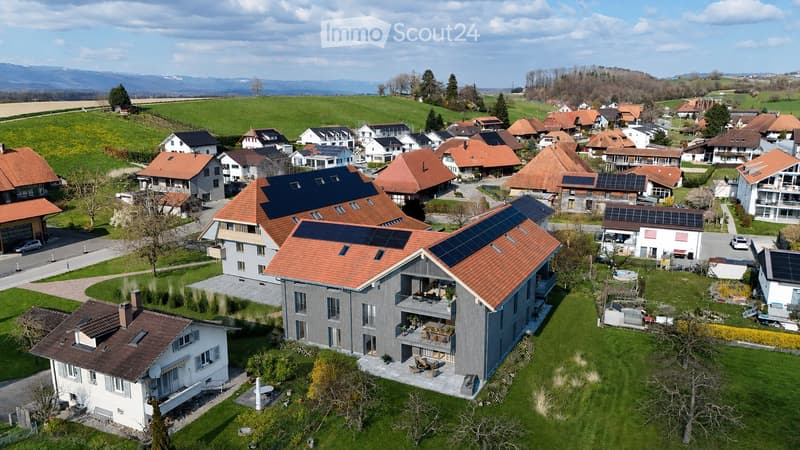 House. Aerial view of a residential neighborhood with multiple houses, solar panels on roofs, and green surroundings.