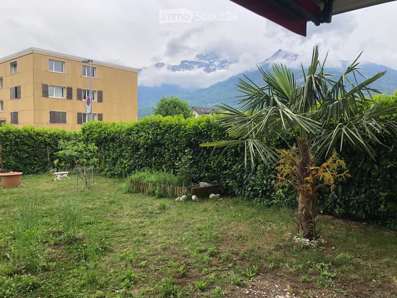 Garden with grass, shrubs, a small tree, and a potted plant, with a modern building and mountain view in the background.