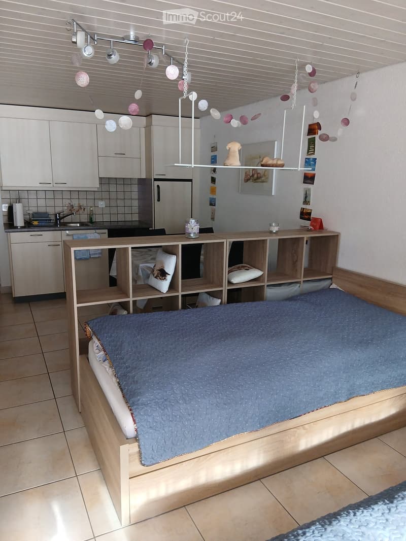 A modern bedroom with a large bed, kitchen area, shelves, and decorative items.