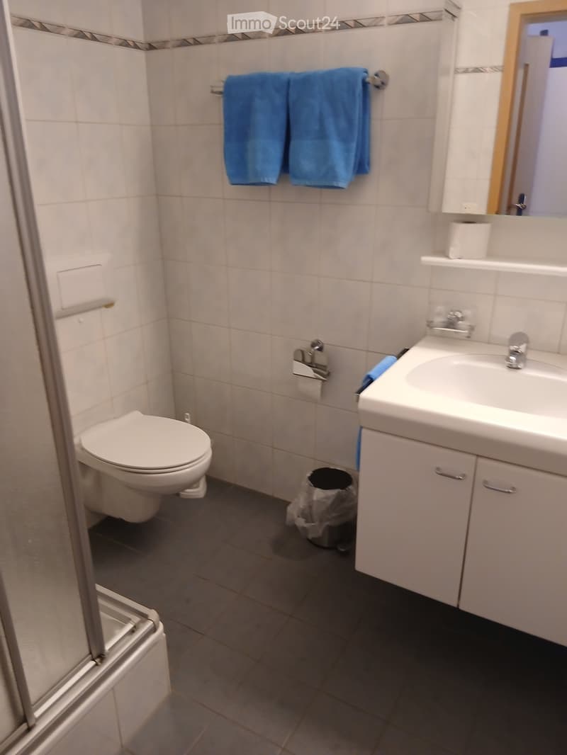 A small bathroom with a toilet, sink, mirror, and towel rack. The sink has a cabinet underneath, and there is a trash bin near the toilet.