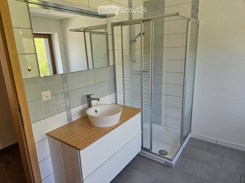 Modern bathroom with a wooden vanity, white sink, glass shower enclosure, and large mirror.