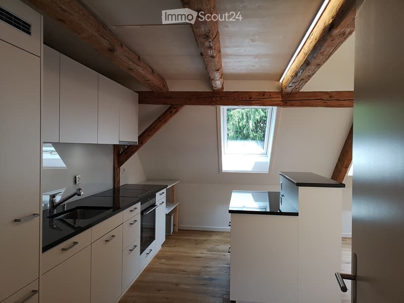Modern kitchen with white cabinets, black countertops, wooden floor, and skylight windows.