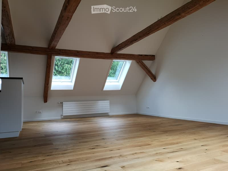 Empty attic room with wooden beams, wooden flooring, and skylight windows, featuring a radiator and electrical outlets.