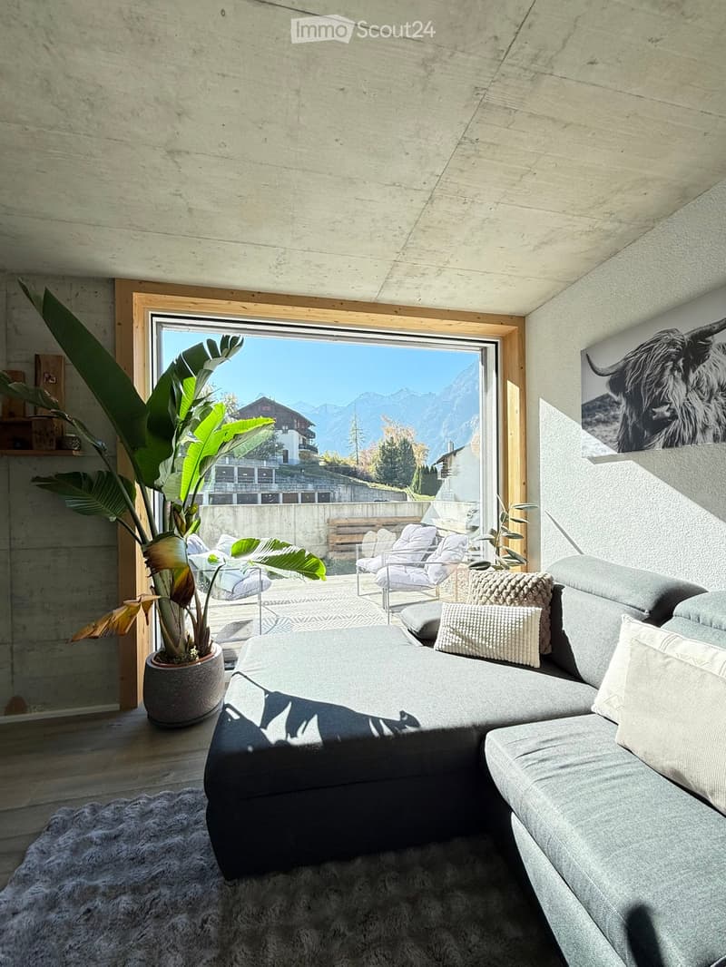 L-shaped sofa, carpet, large window, balcony, potted plant, picture