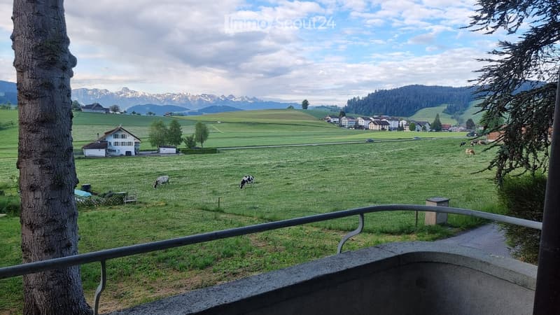 A scenic rural landscape with green fields, grazing cows, scattered houses, and distant mountains under a partly cloudy sky.