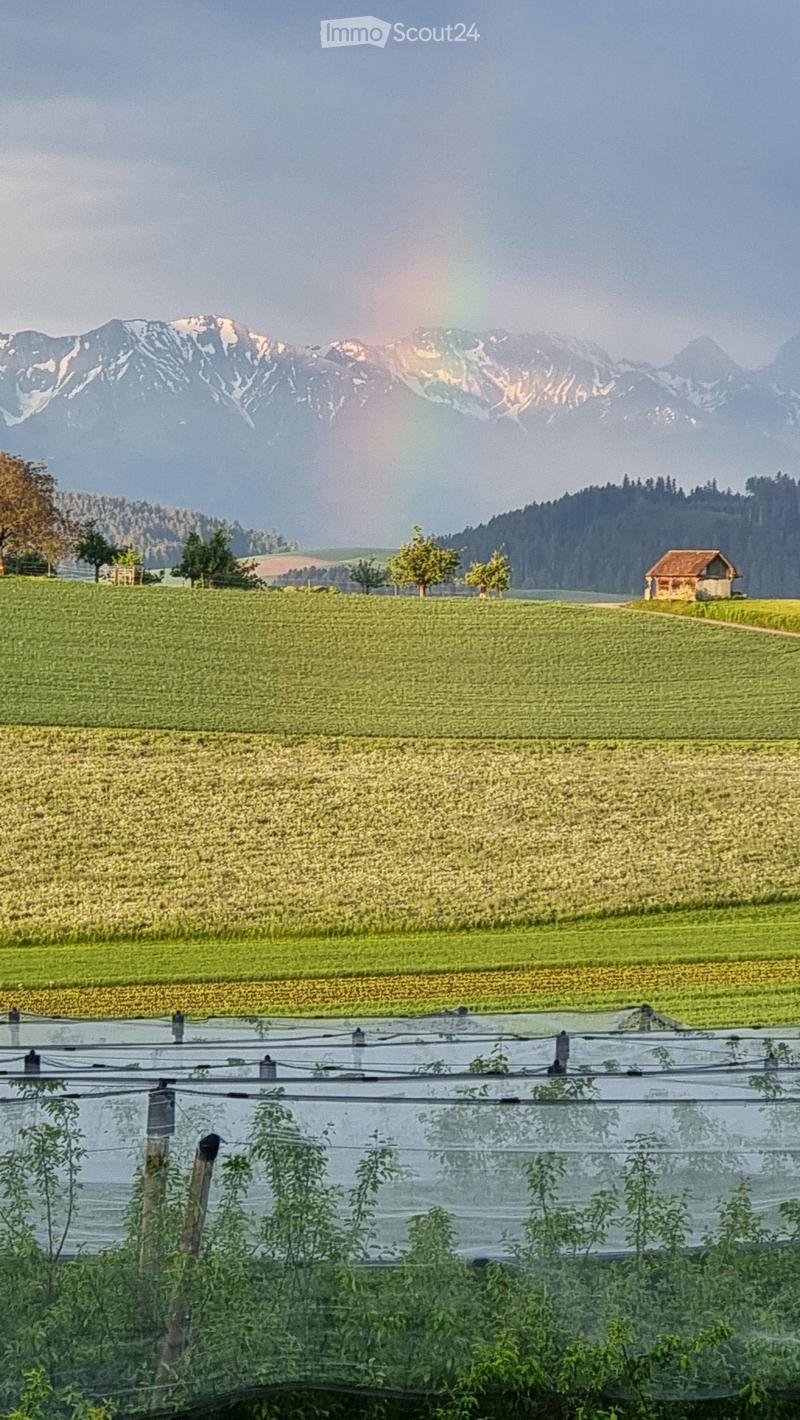 A peaceful rural landscape with green fields, scattered trees, a small wooden shed, and distant snow-capped mountains under a partly cloudy sky.