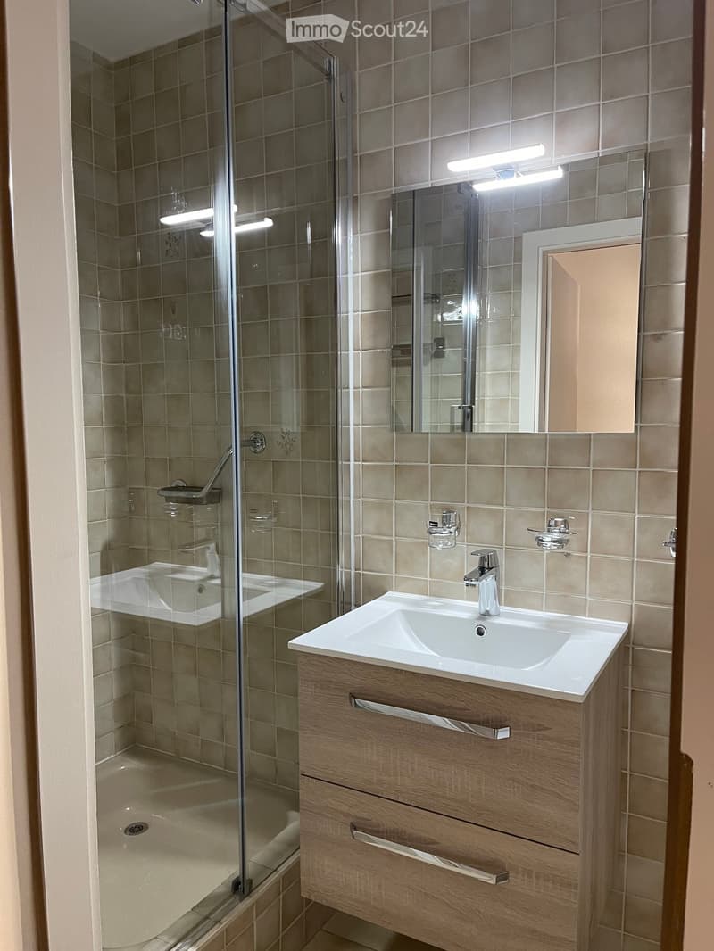Modern bathroom with a white sink, wooden cabinet, mirror, and a glass-enclosed shower stall.