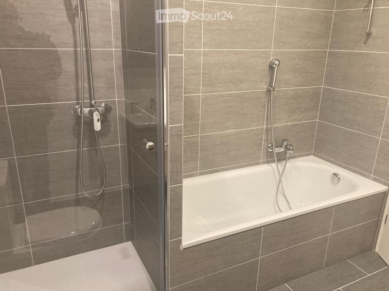 Modern bathroom with a bathtub, glass-enclosed shower, and tiled walls.