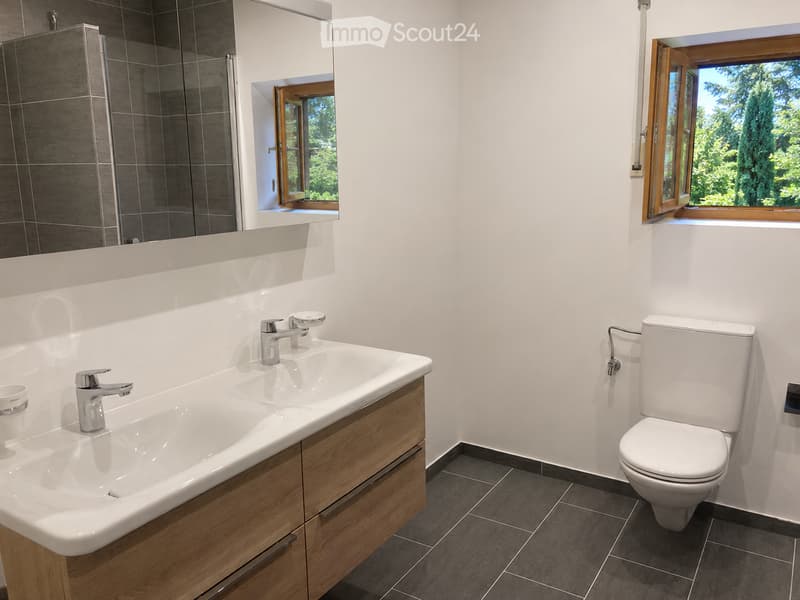 Modern bathroom with a double sink, chrome faucets, a toilet, a large mirror, and a cup on the counter. The room features dark tiled flooring and white walls with large windows offering a view of greenery.